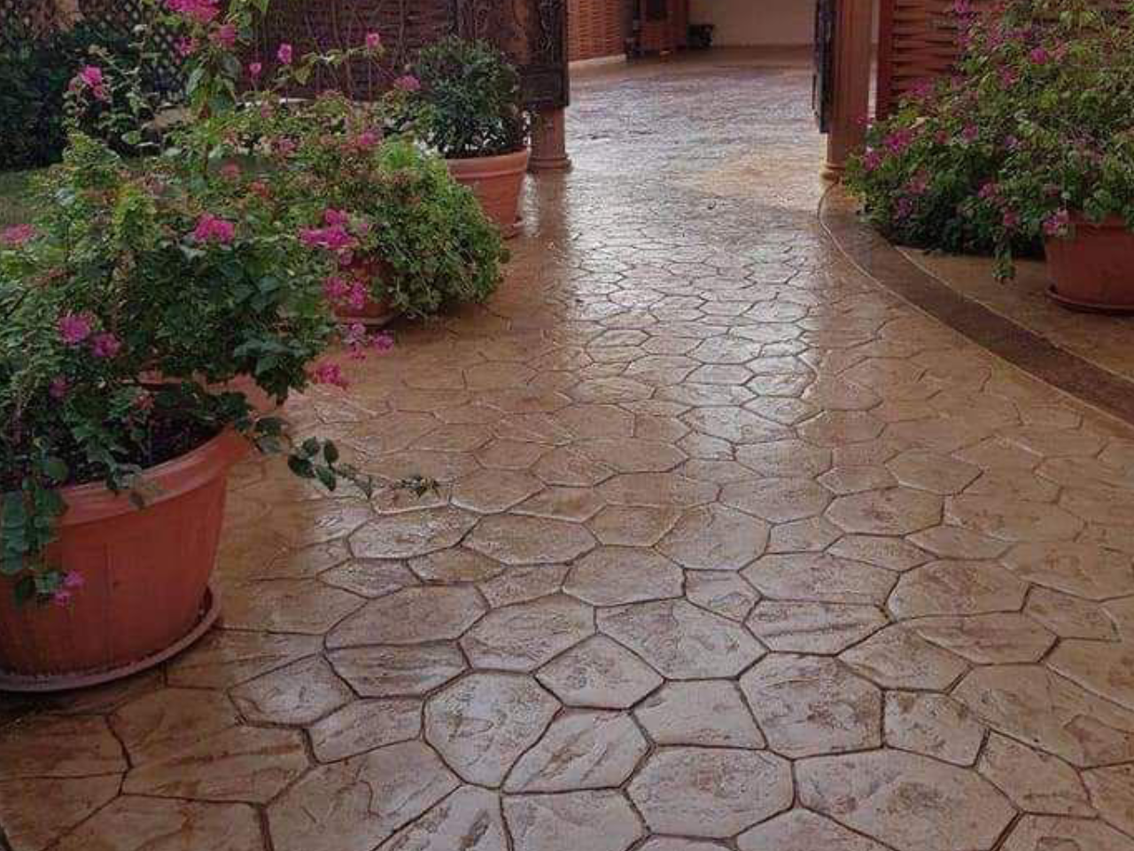 WhatsApp Image 2025-10-11 at 12.06.37 AM (5)